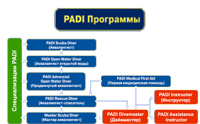 PADI курсы дайвинга — баннер