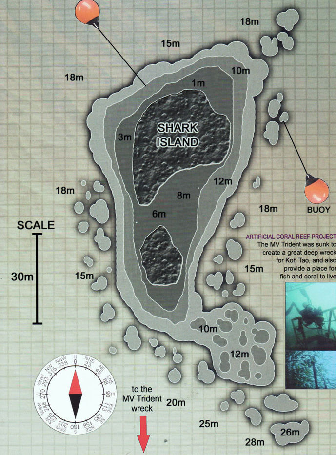 Shark Island — дайвинг у острова акул